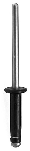 Nissan SpeciaLTy Rivet - All