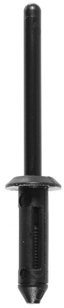 Gm Nylon Rivet - All