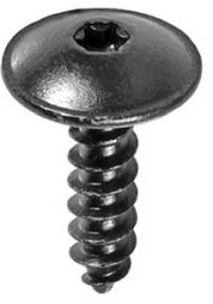 GM Torx Truss Head Tapping Screw - All