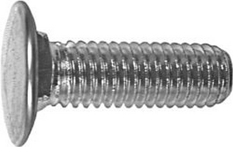 Bumper Bolt & Hex Nut - All