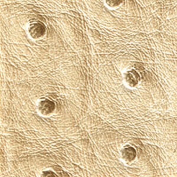 Nuvtex Big Bird Wheat - All
