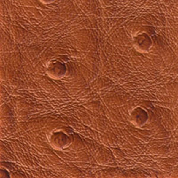 Nuvtex Big Bird Spice - All