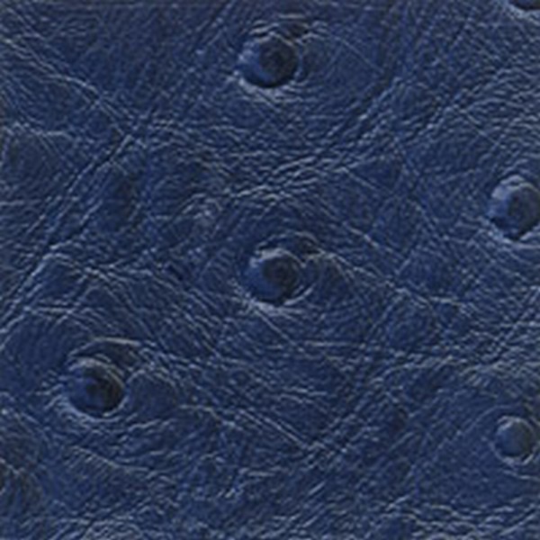 Nuvtex Big Bird Lapis - All