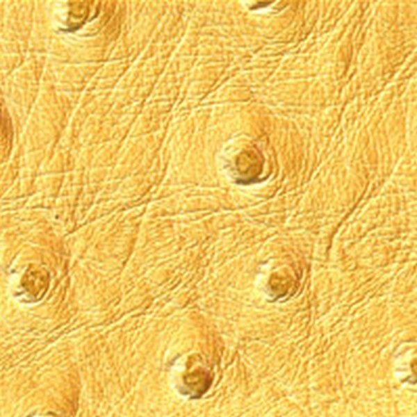 Nuvtex Big Bird Sunflower - All