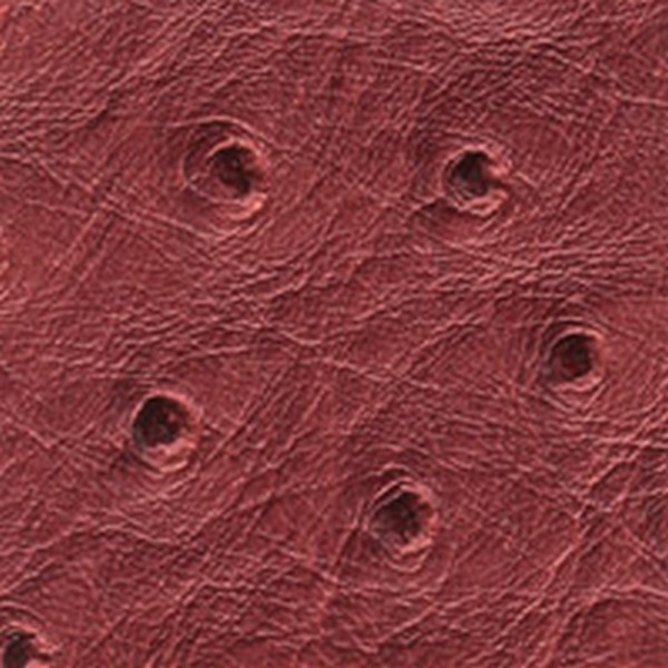 Nuvtex Big Bird Paprika - All