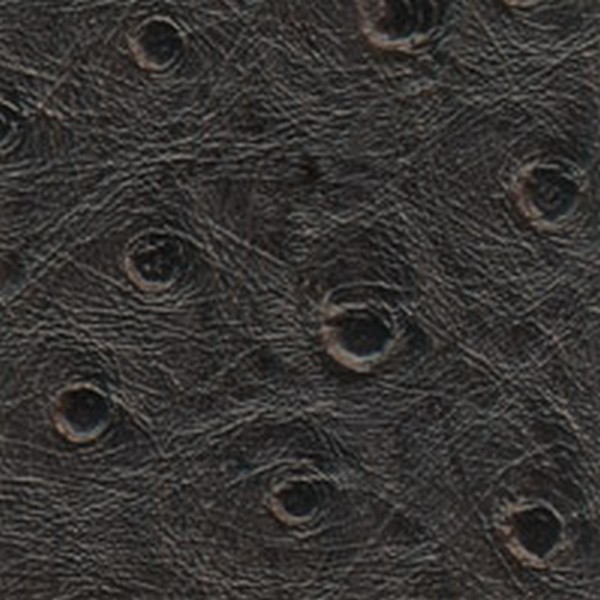Nuvtex Big Bird Abyss - All