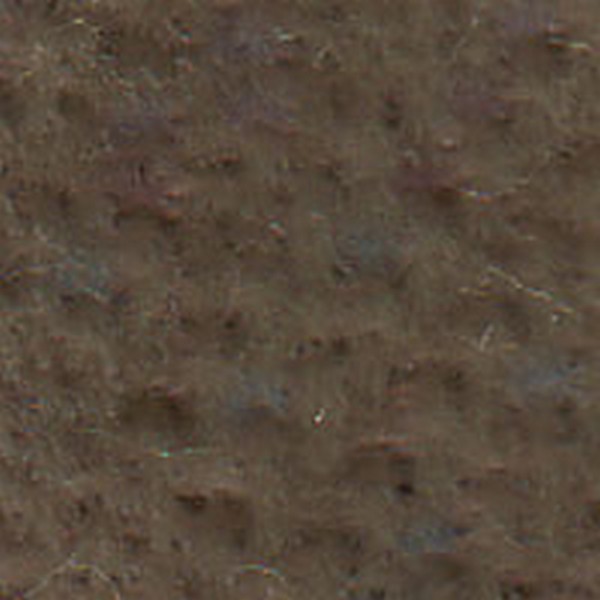 Coventry Sandstone  E10132 - OEM Cloth