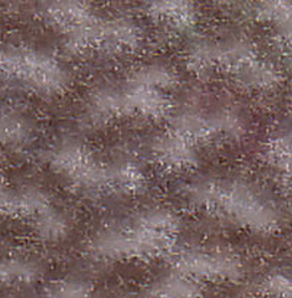 Chapman Oak   110456 - OEM Cloth