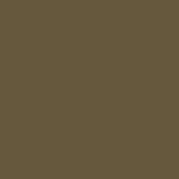 Color Coat Spray Saddle Tan - Paints & Dyes
