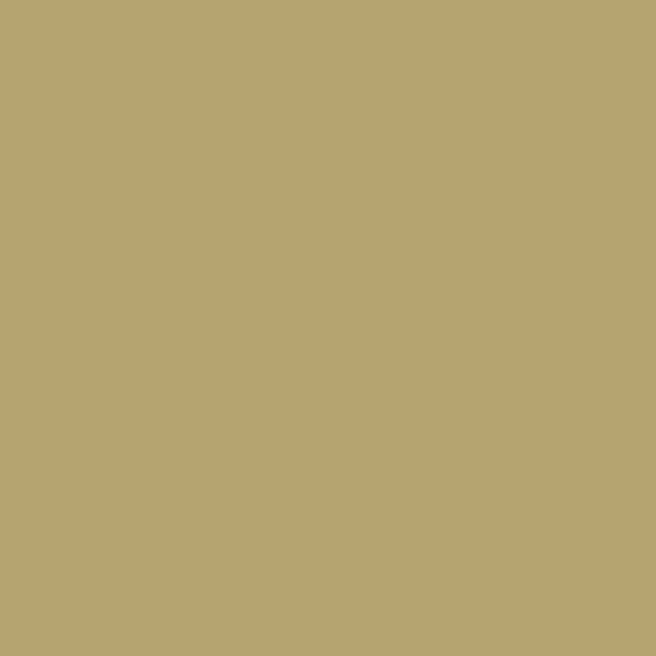 Color Coat Spray LT Buckskin - Paints & Dyes