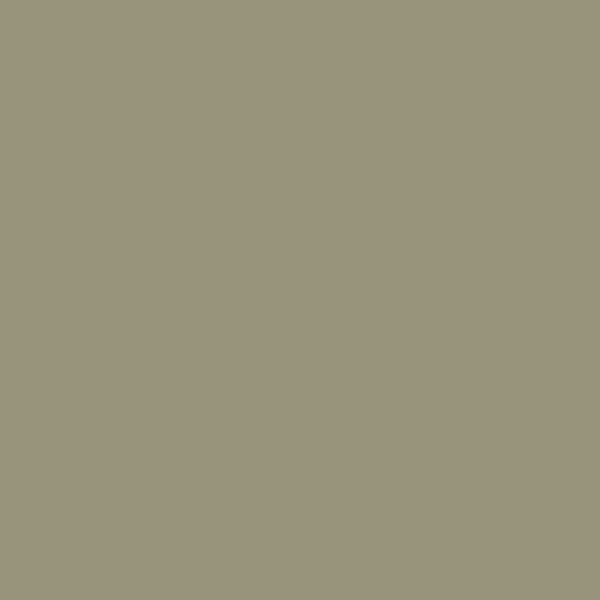 Color Coat Spray Pescadero - Paints & Dyes