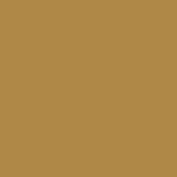 Color Coat Spray Palomino - Paints & Dyes