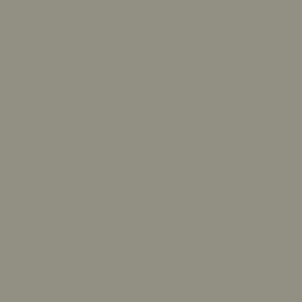 Color Coat Spray LT Titanium - Paints & Dyes