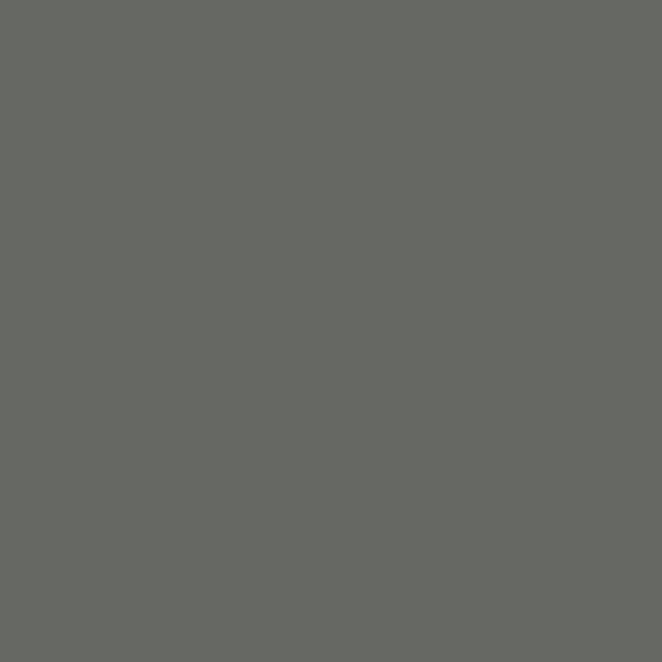 Color Coat Spray Medium Grey - Paints & Dyes