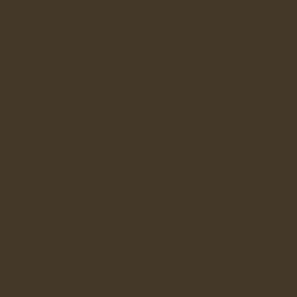 Color Coat Spray Bluebird Brown - Paints & Dyes