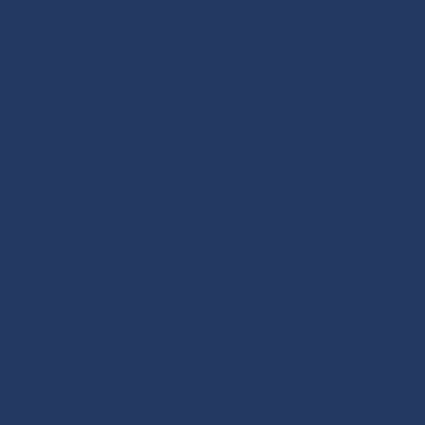 Color Coat Spray Pacific Blue - Paints & Dyes