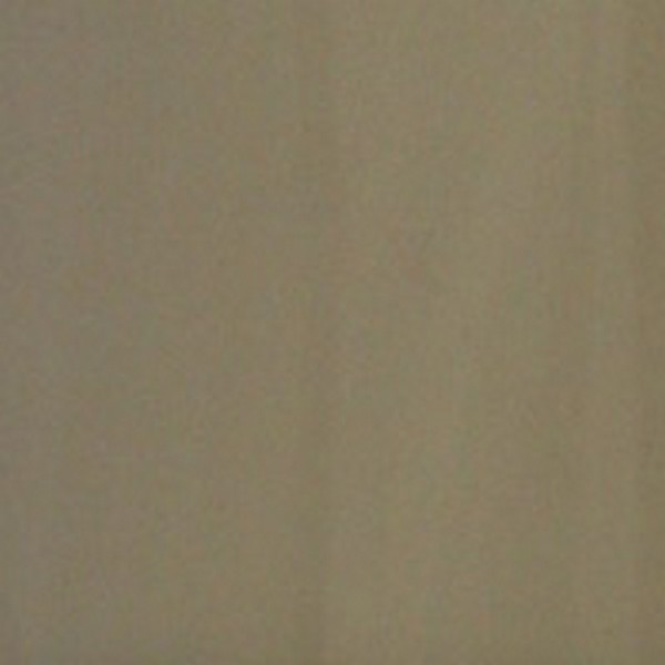 Color Coat Spray LT Parchment - Paints & Dyes
