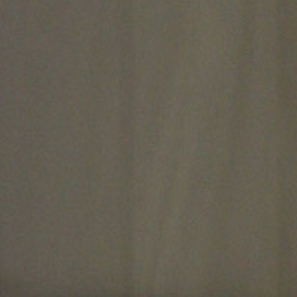 Color Coat Spray LT Neutral - Paints & Dyes