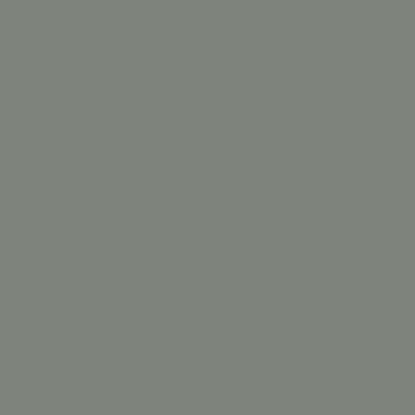 Classic Coat Ford LT  Graphite - All
