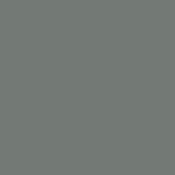 Classic Coat Gm LT Grey - Paints & Dyes