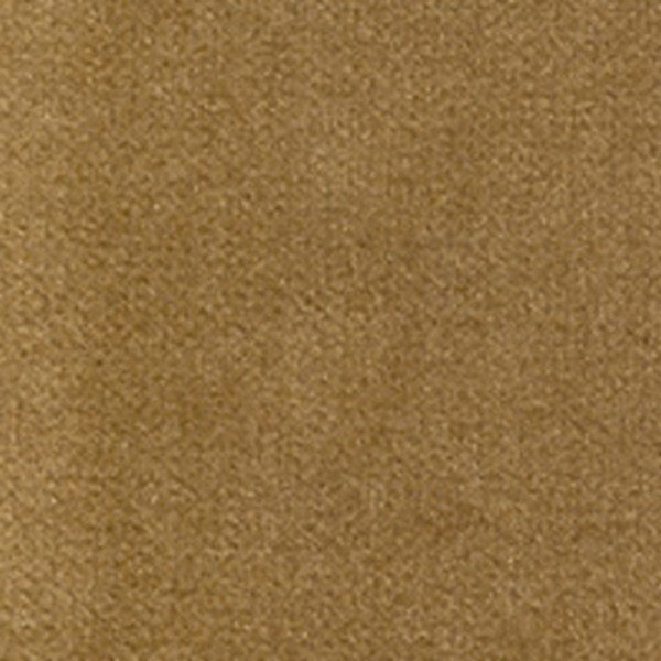 Expo Cloth - Camel - Aftermarket Cloth
