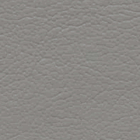 G-Grain LT Graphite Enduratex - Stamoid Marine Fabric