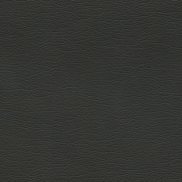 Ultraleather Ravenwing - Ultrafabrics Collection Automotive