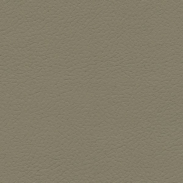 Ultrafabrics Brisa Putty - Ultrafabrics Collection Automotive