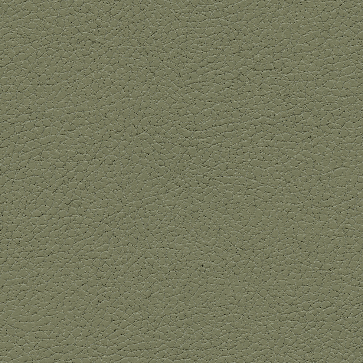 Ultrafabrics Brisa Sage - Ultrafabrics Collection Automotive