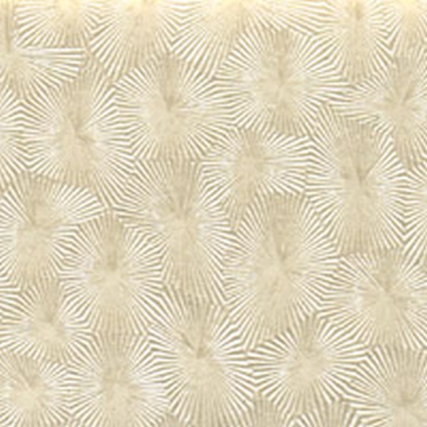 Deco White Pearl - All
