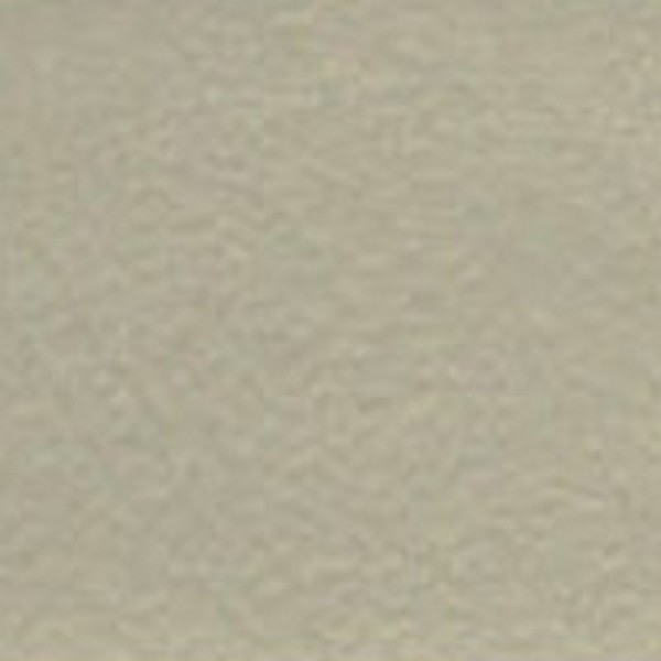 Buckskin LT Parchment  V7616 - OEM Vinyl