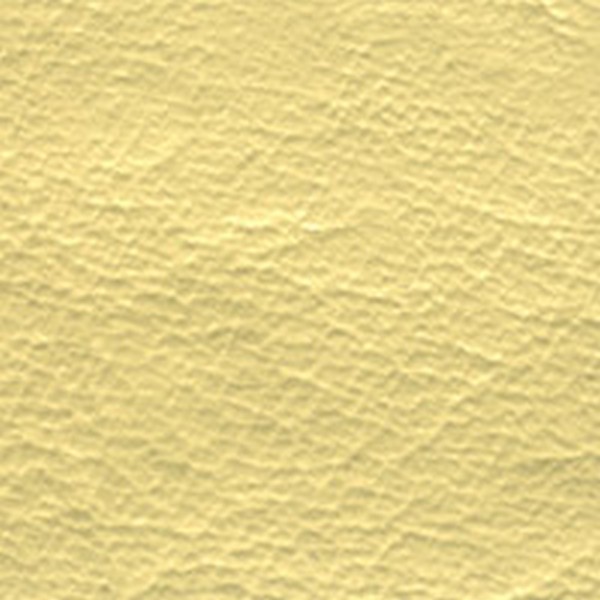 Landau Full D/S Elk Almond - Landau Tops