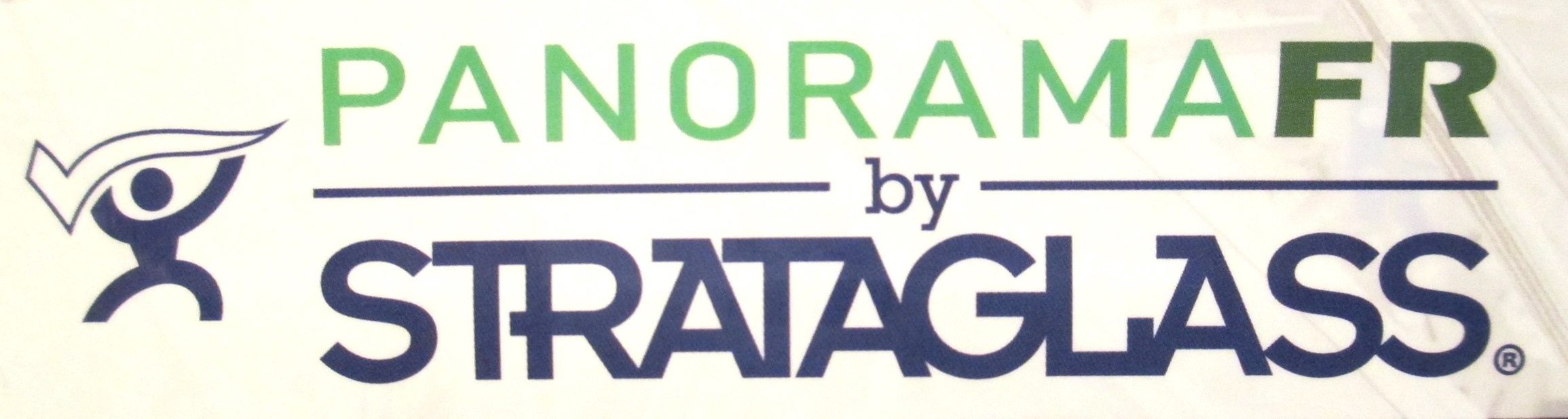 Panorama FR 20 Gauge Clear 10/Box - Clear Vinyl & Mesh
