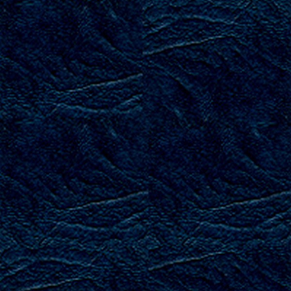 Rogue II Blue FR/MR Free - Vinyl