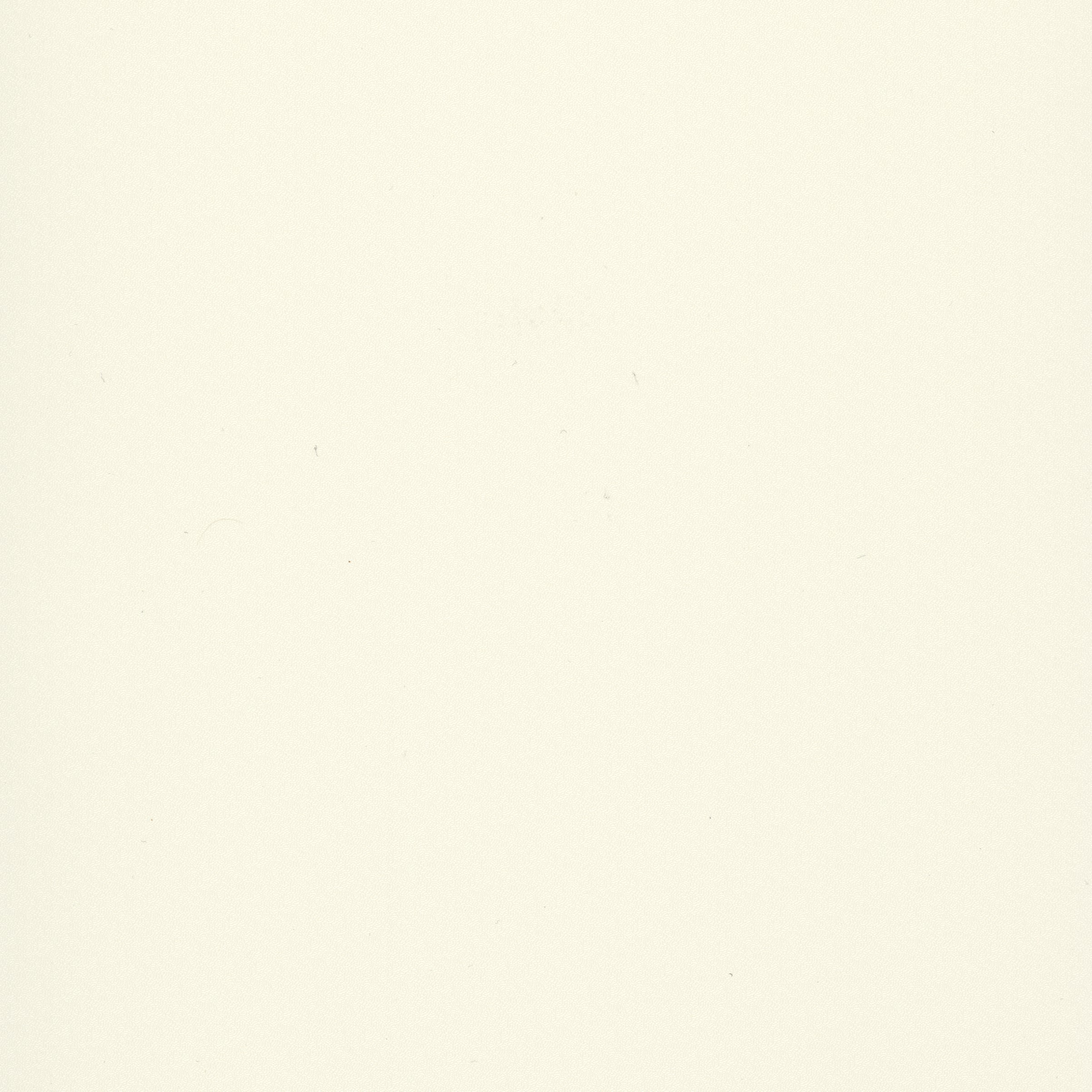 Stamoid Light 59in Cream - All Topping Fabric