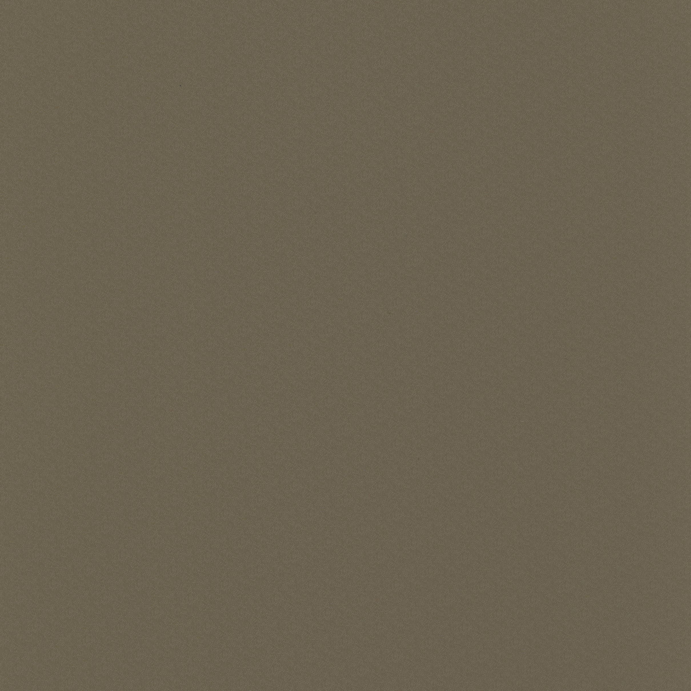 Stamoid Light 59in Desert - All Topping Fabric