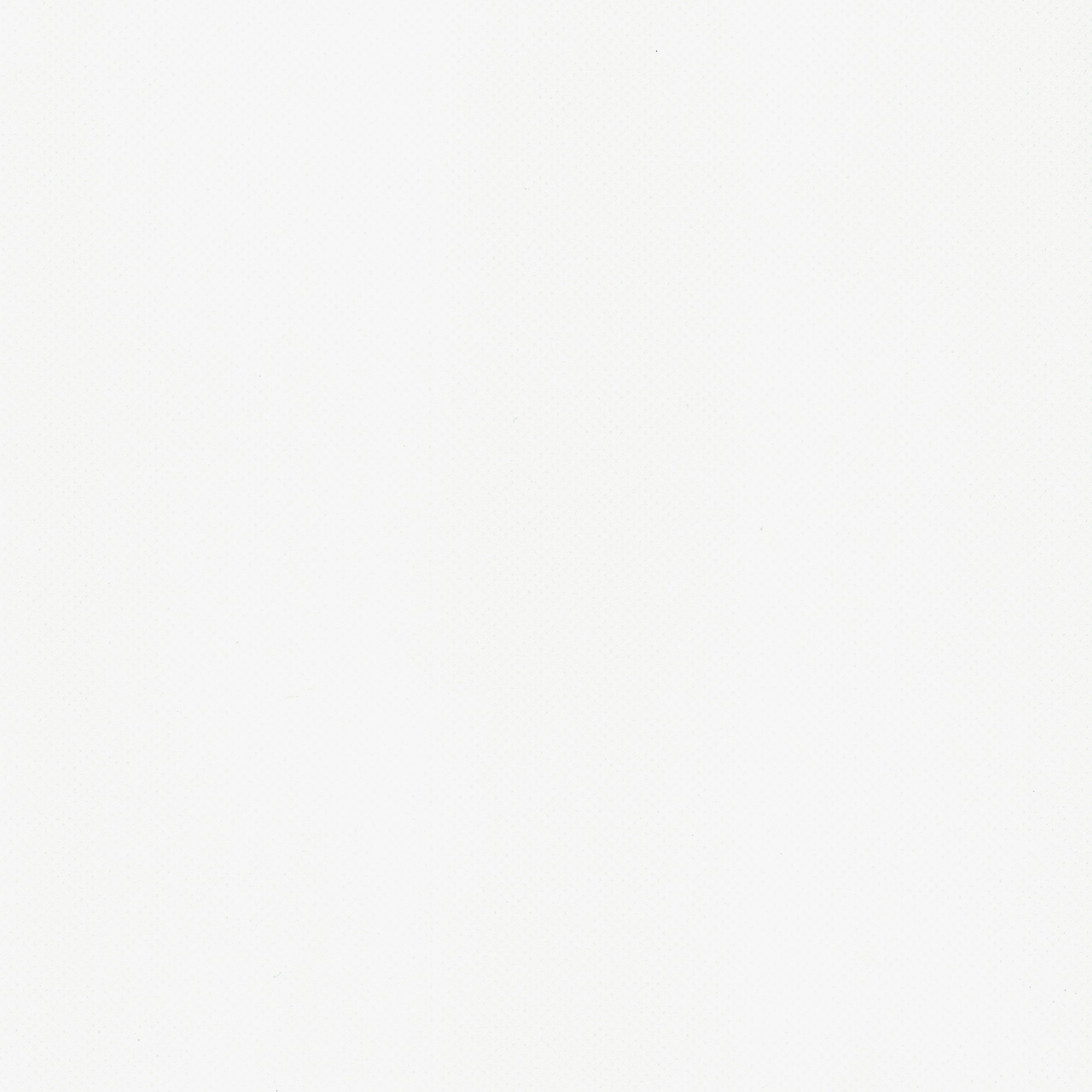 Stamoid Open 102in White - All Topping Fabric