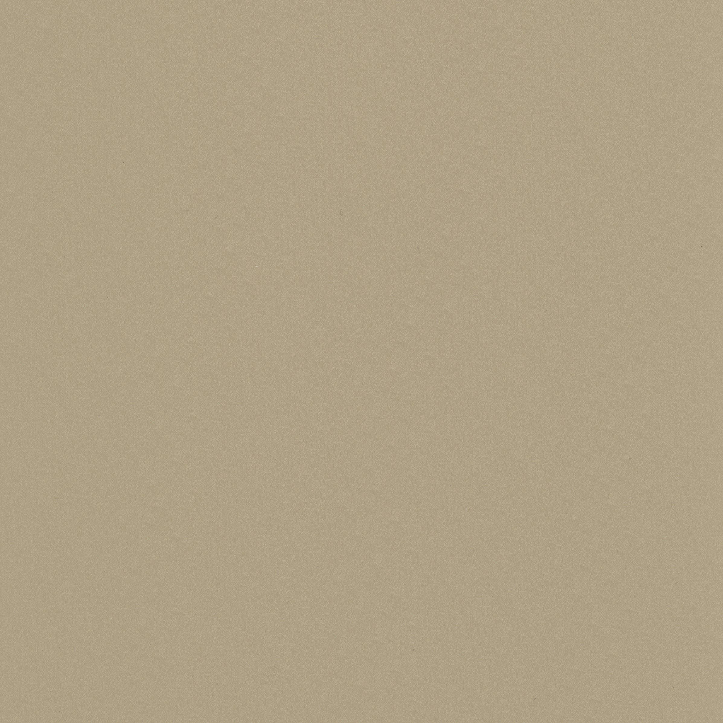 Stamoid Top 102in Sand Beige - All Topping Fabric