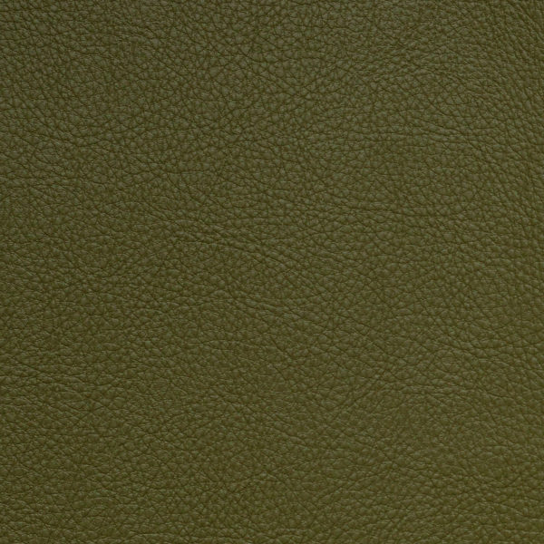 Symphony Classic Picholine - Vinyl
