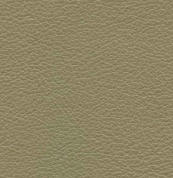 Leather  Vernazza  Tawny 59-10 - Stamoid Marine Fabric