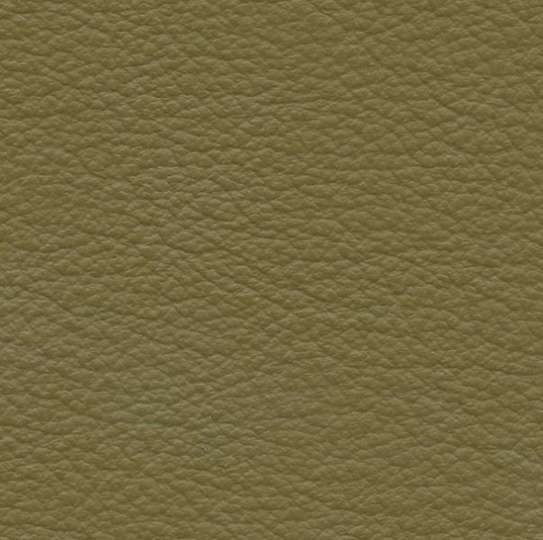 Leather  Vernazza  Fennel 59-34 - Stamoid Marine Fabric