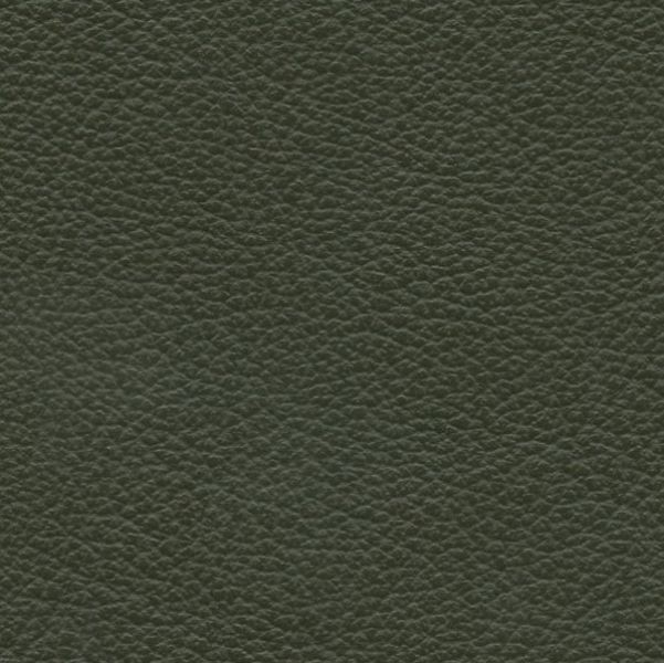 Leather  Vernazza  Pine 59-36 - Stamoid Marine Fabric