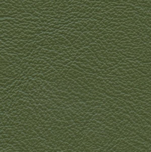 Leather  Vernazza  Grass 59-38 - Stamoid Marine Fabric