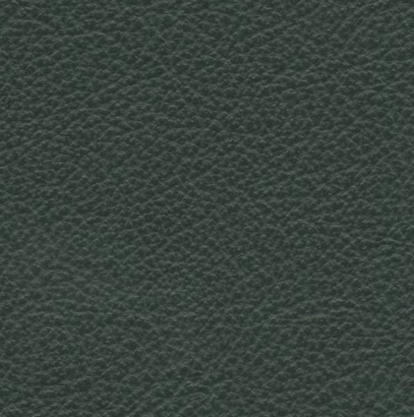 Leather  Vernazza  Forest 59-40 - Stamoid Marine Fabric