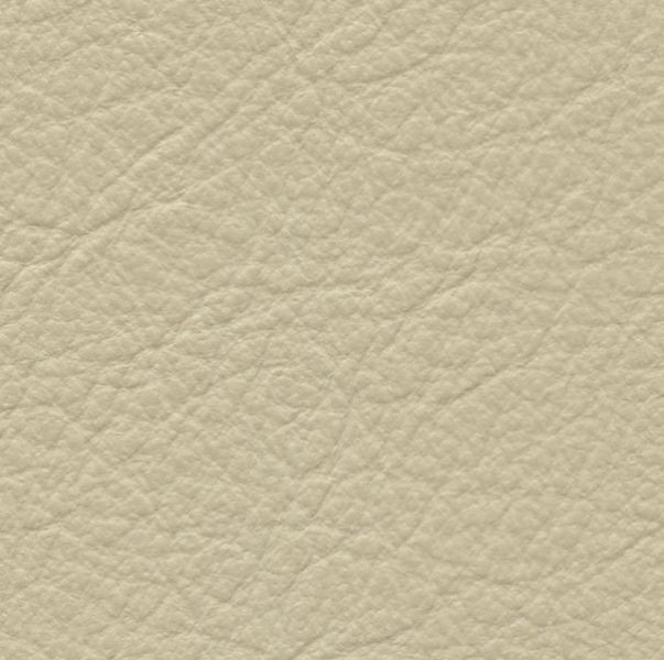 Leather  Vernazza Sand Dollar 59-5 - Stamoid Marine Fabric