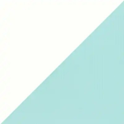 Weblon Regatta White/Foam Green - All Topping Fabric